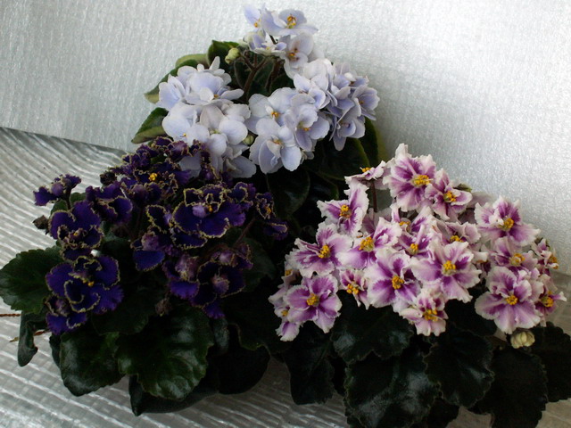 Миниатюры.jpg