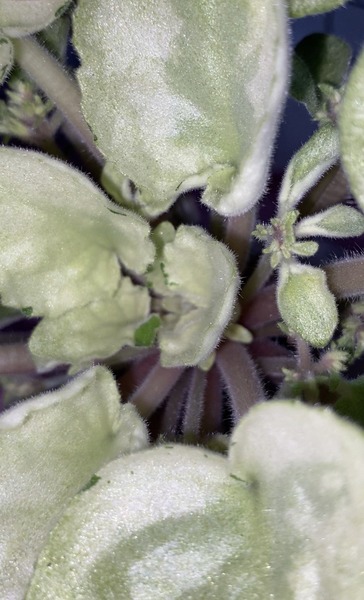 imgonline-com-ua-Resize-VfXZDX1hKmb8xjas.jpg