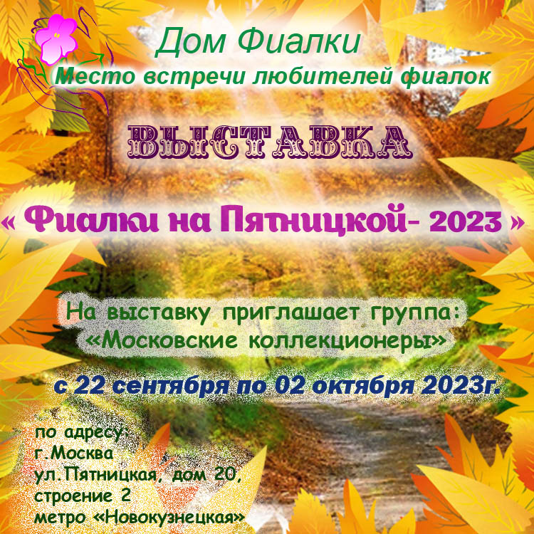 Фиалки на Пятницкой- 2023.jpg