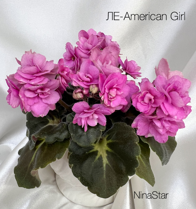 ЛЕ-American Girl