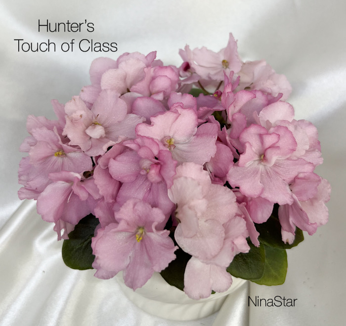 Hunter’s Touch of Class