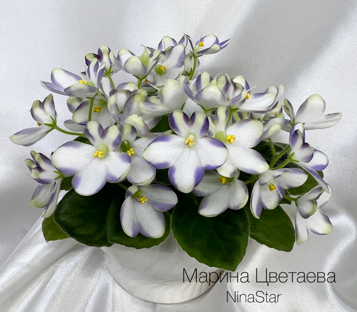 Марина Цветаева