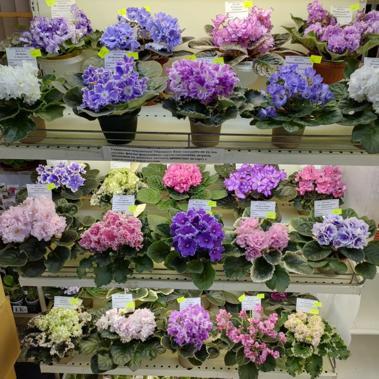 IMG20231116165500.jpg