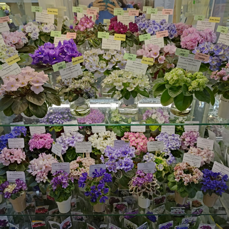 IMG20231116164939.jpg