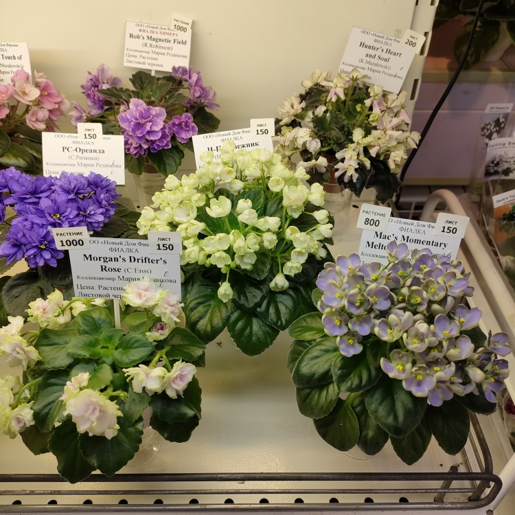 IMG20231116163555.jpg