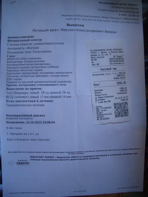 я1547.jpg
