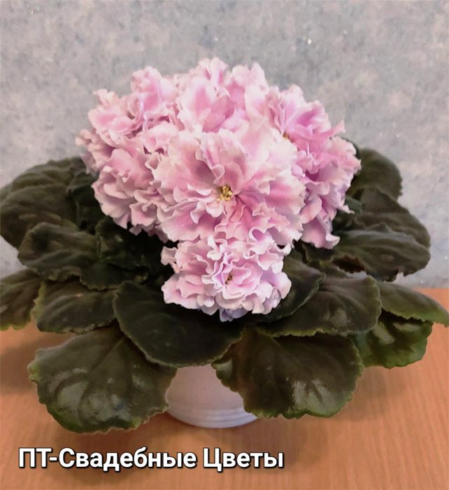 ПТ-Свадебные Цветы