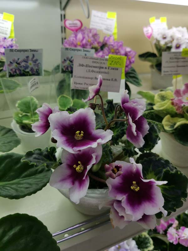 IMG_20240109_191649.jpg