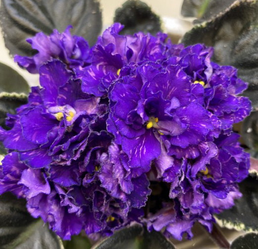 РМ-Сентябрина.jpg