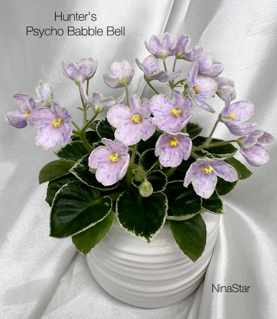 Hunter's Psycho Babble Bell