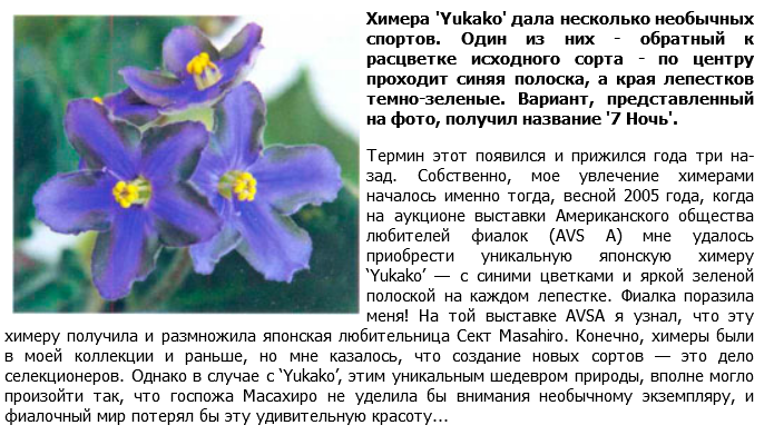 7 Ночь.png