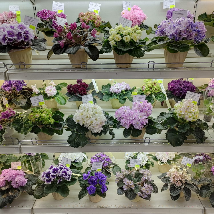 IMG20240322125628.jpg