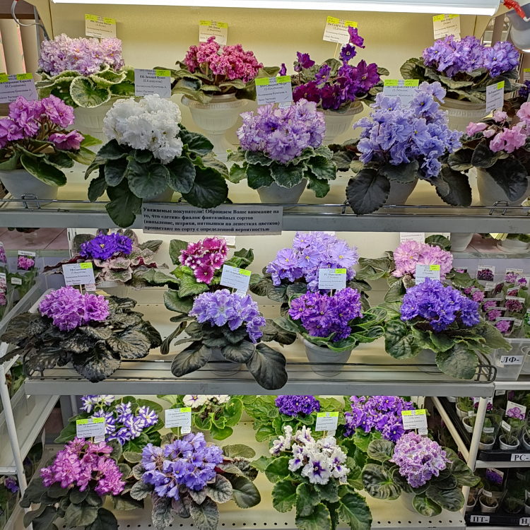 IMG20240322131016.jpg