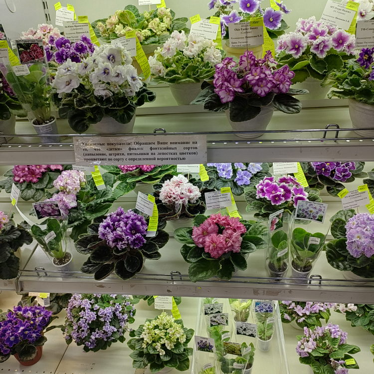 IMG20240322131530.jpg