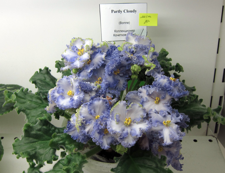 Partly-Cloudy-(K).jpg