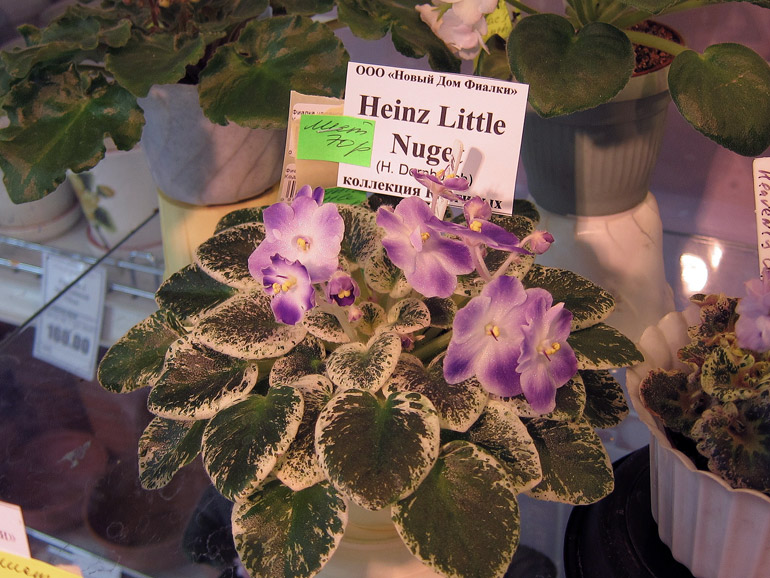 Heinz's-Little-Nugget.jpg