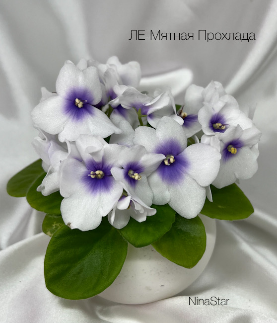 ЛЕ-Мятная Прохлада