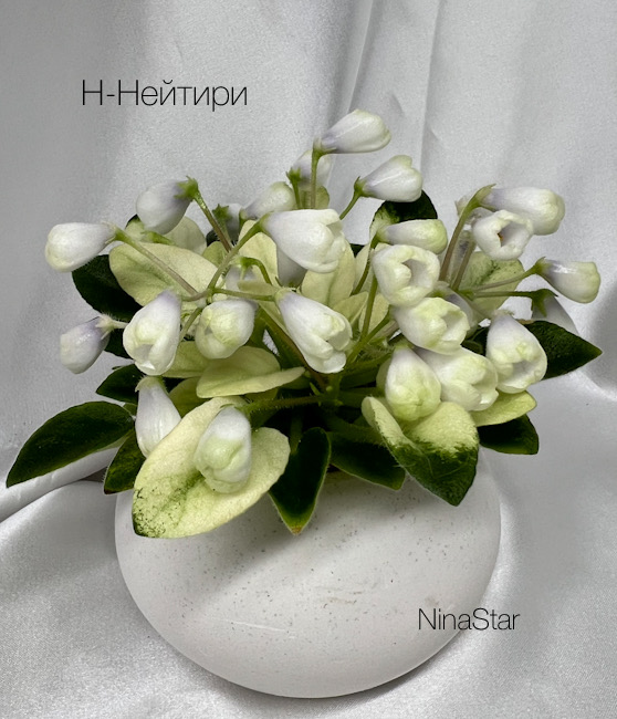 Н-Нейтири