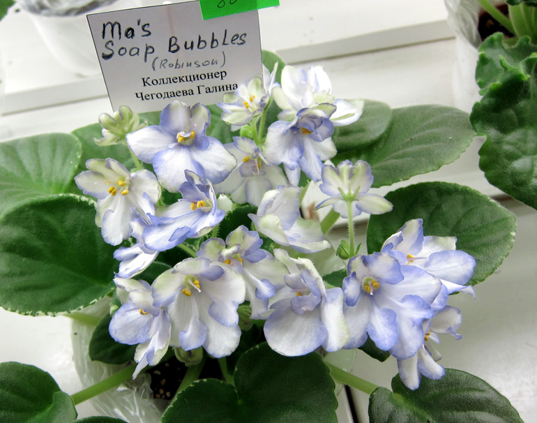 Ma's-Soap-Bubbles.jpg