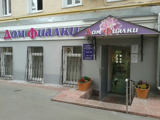 Дом Фиалки.jpg