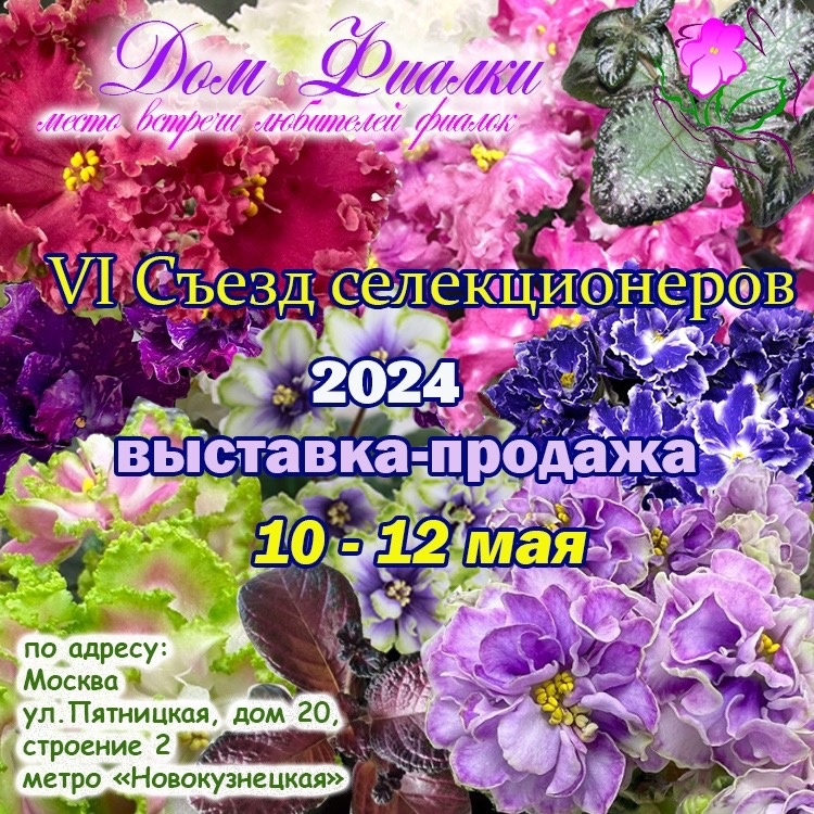 OPFJ0VeZjmI.jpg