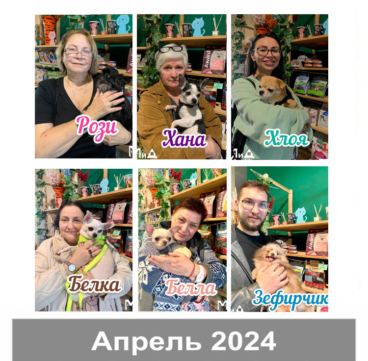 апрель 14 2024.jpg