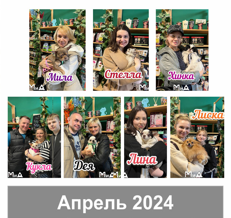 апрель 7 2024.jpg
