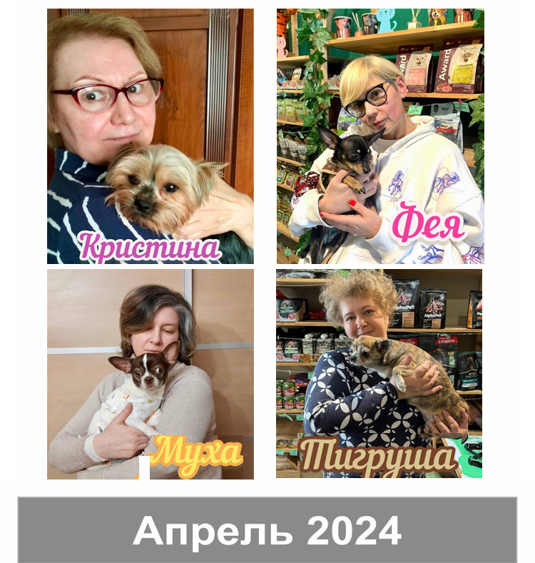апрель 21 2024.jpg