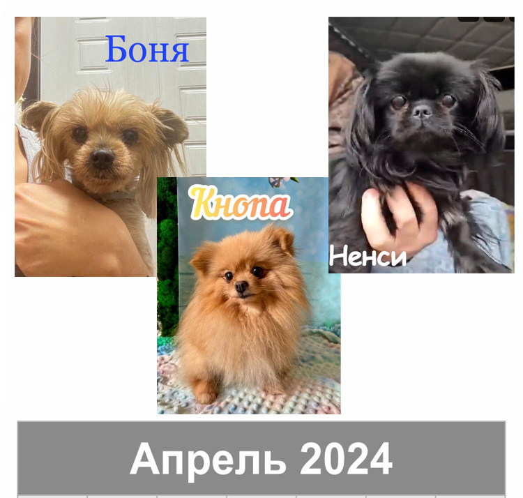 апрель  2024.jpg