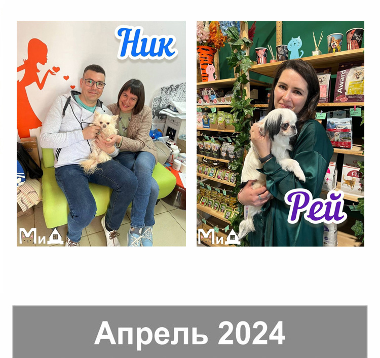 апрель 27 2024.jpg