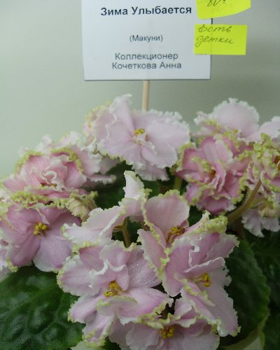 SDC13339.JPG