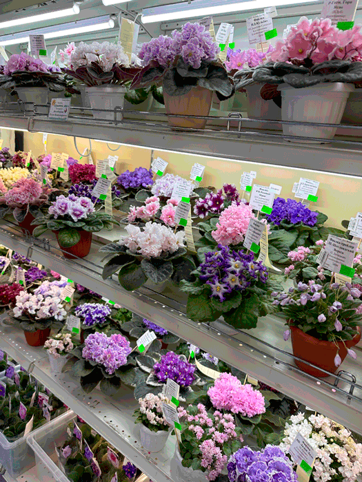 полки-Кособокова.gif