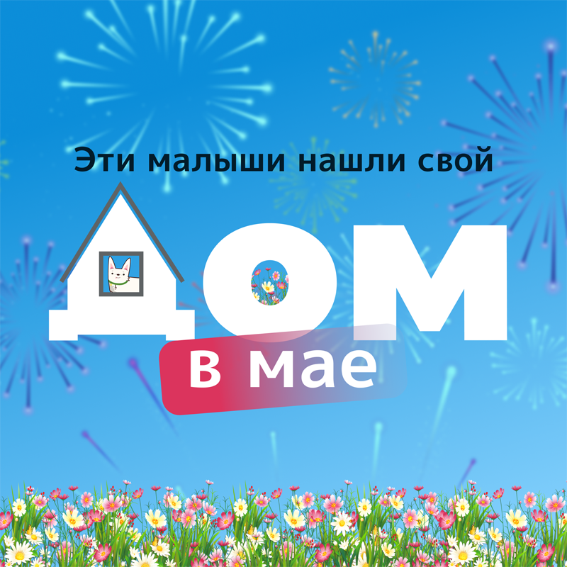 Без имени.png