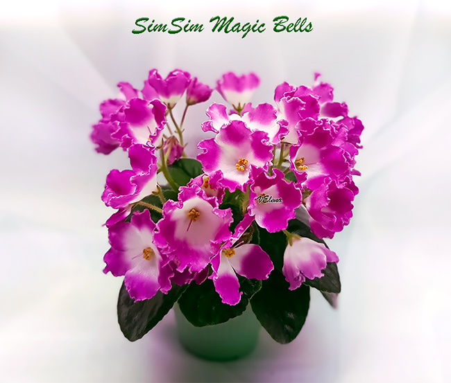 1simsim_magic_bells.jpg