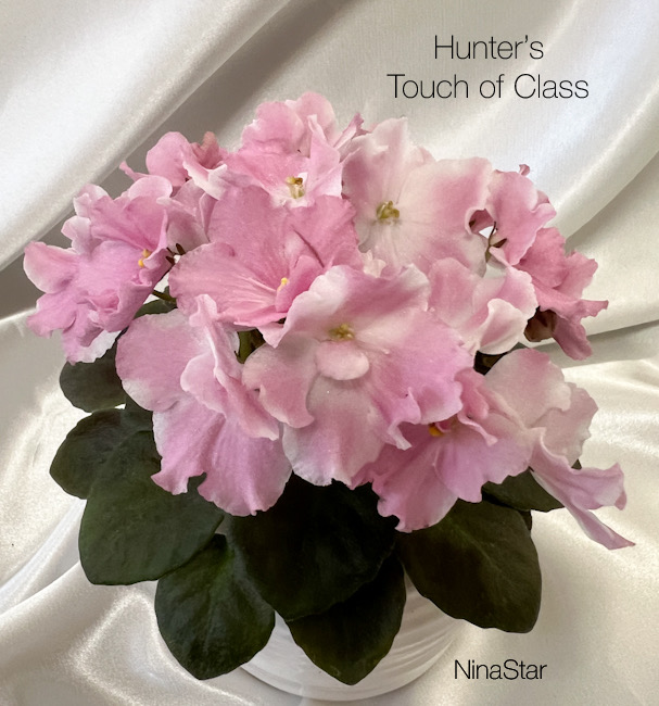 Hunter’s Touch of Class