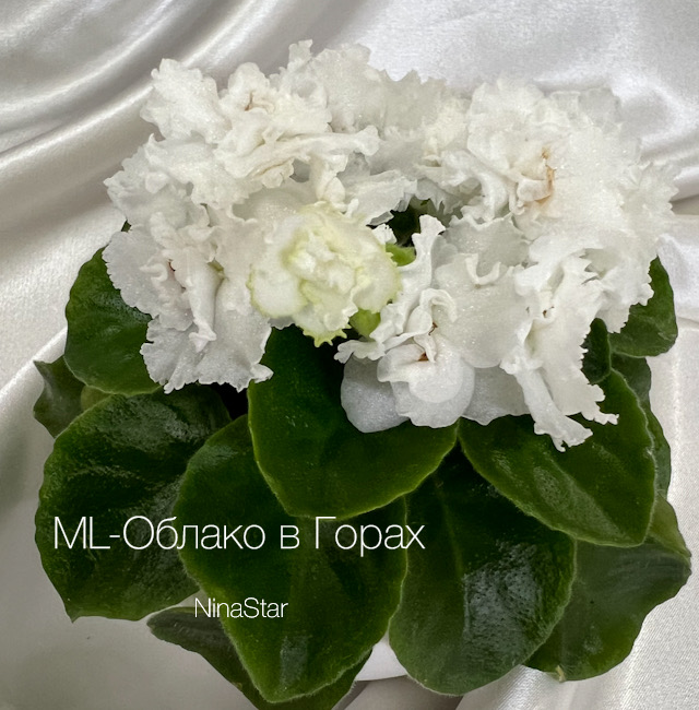 ML-Облако в Горах