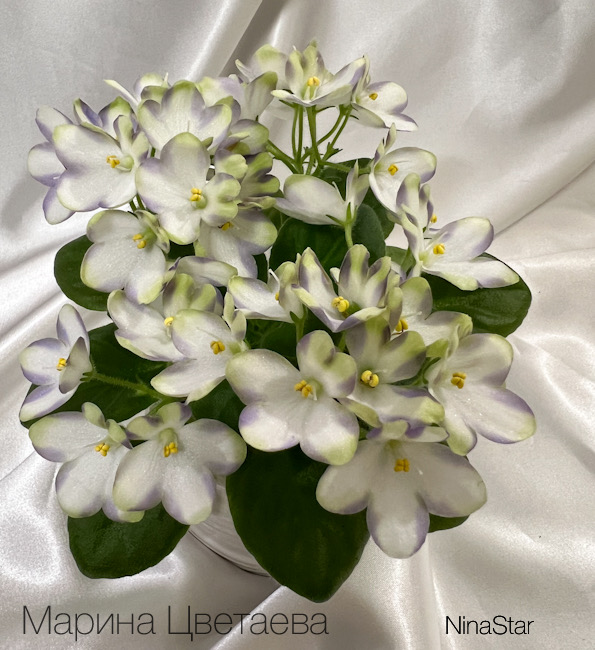 Марина Цветаева