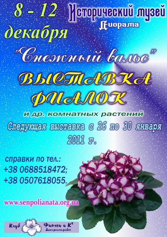 Н декабрьин.jpg
