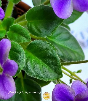 Picsart_24-08-27_23-48-14-093.jpg