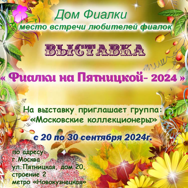 Фиалки на Пятницкой 2024.jpg