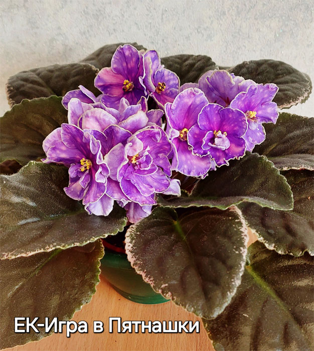 ек-игра-в-пятнашки.jpg