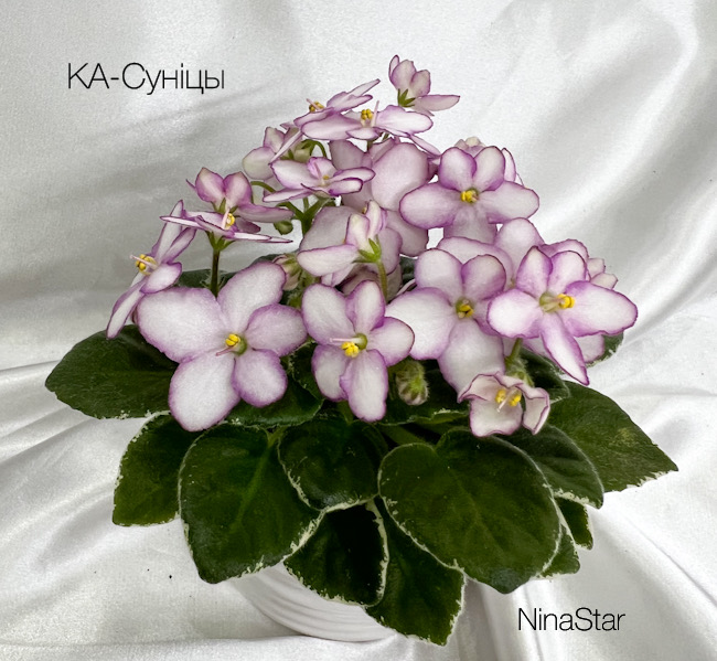 КА-Сунiцы