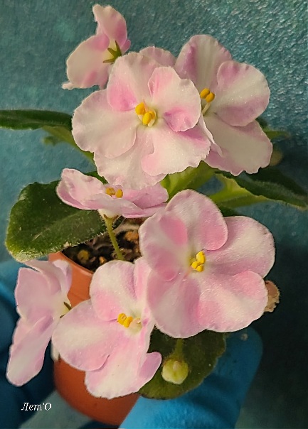 20241001_091148.jpg