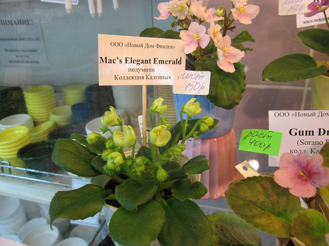 Mac's-Elegant-Emerald_web.jpg