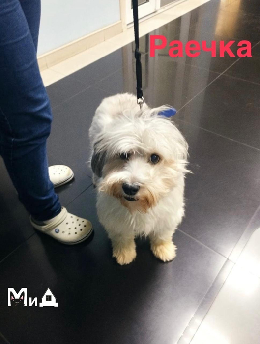 м ....jpg