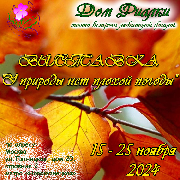 15 копия.jpg