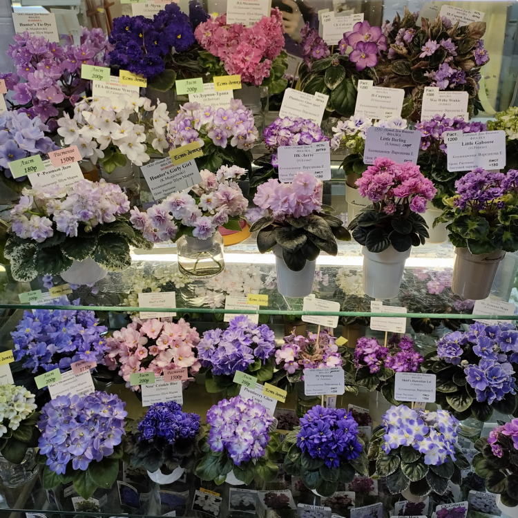 IMG20241114154739.jpg