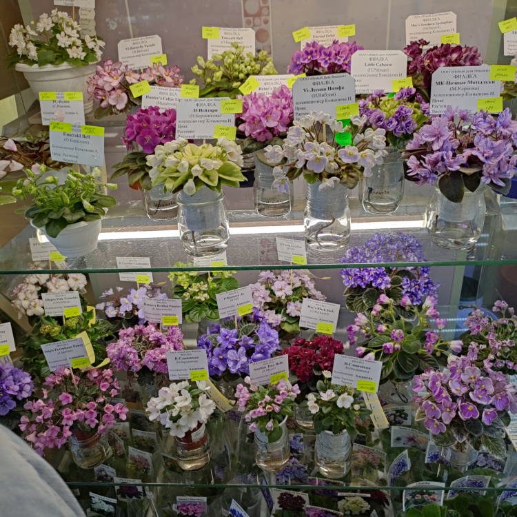 IMG20241114160213.jpg