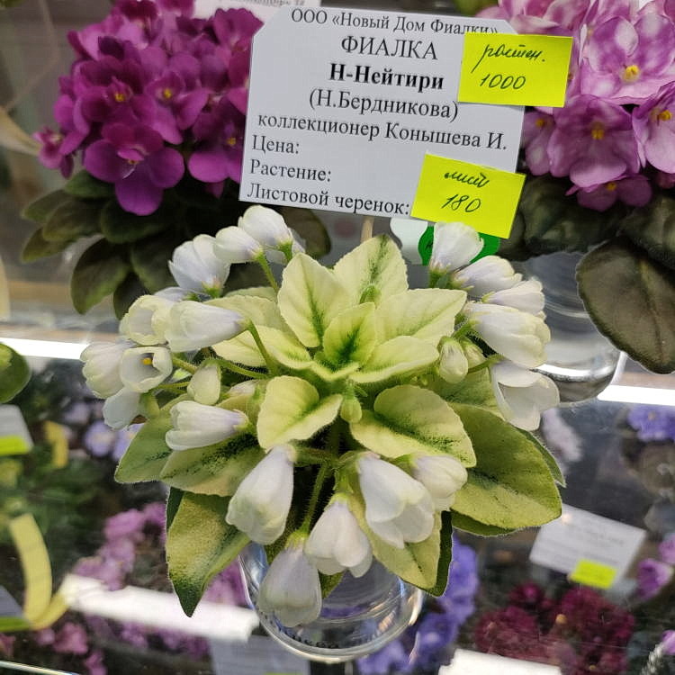 Н-Нейтири
