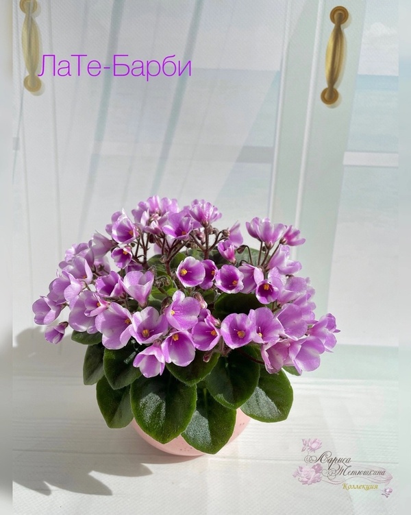 DLibJ9lZPEk (1) (1).jpg